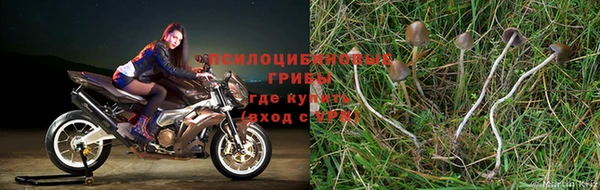 бошки Куйбышев