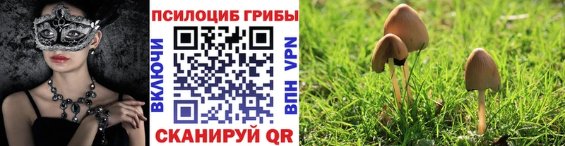 блэк спрут как войти  Невельск  Галлюциногенные грибы ЛСД 